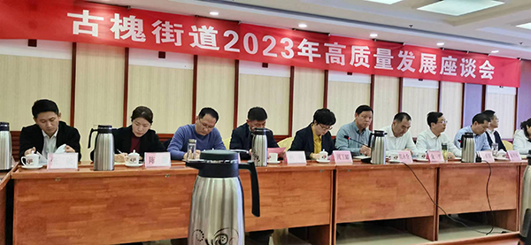 2023年古槐街道高質量座談會